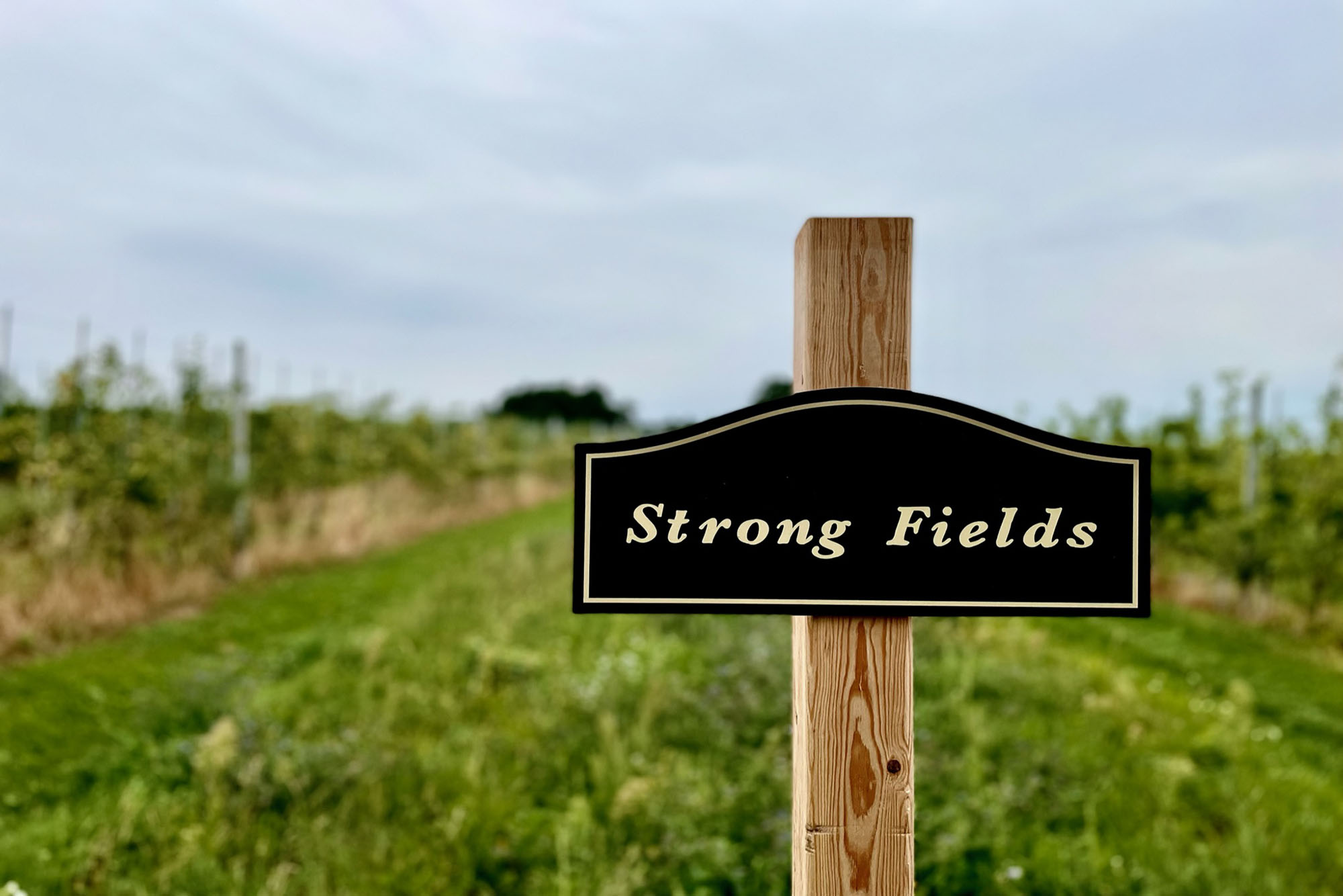 Strong Fields at Royal Stag Preserve
